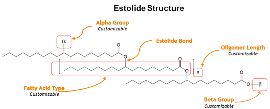 Castor oil derived as mineral filter dispersant structure