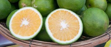 Bowl of mandarin green fruit